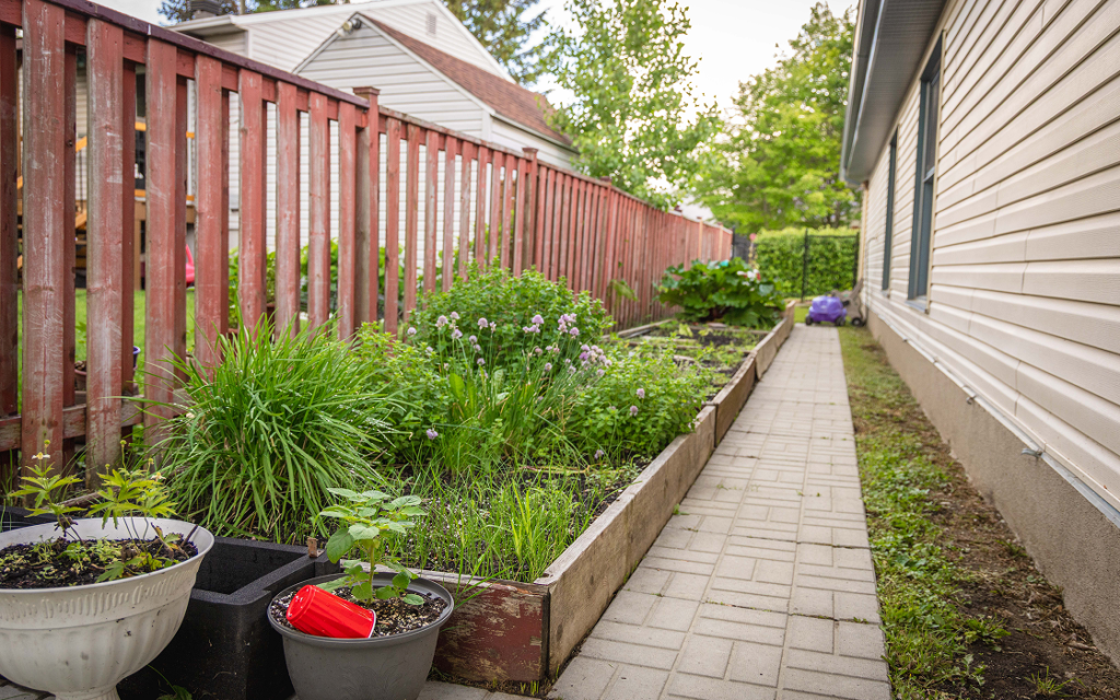 Jardin extérieur