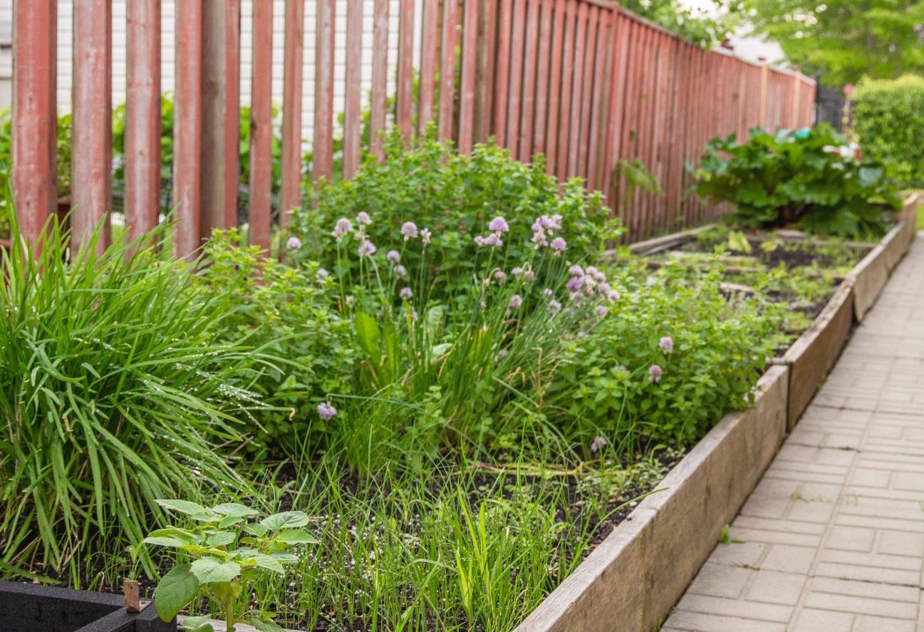 Jardin en bacs dans la cour du CPE Le Petit Équipage, installation Bretagne à Mirabel